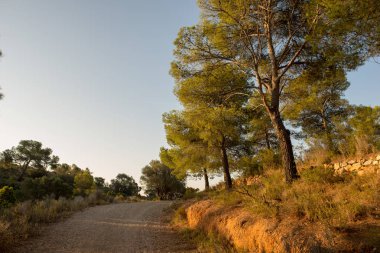 Çölde şafak, İspanya avuç