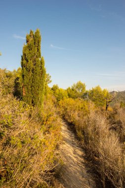 Çölde şafak, İspanya avuç