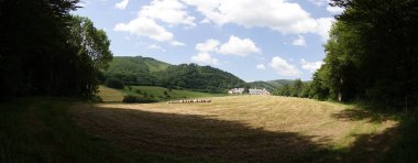 Orman Camino de Santiago Roncesvalles, İspanya