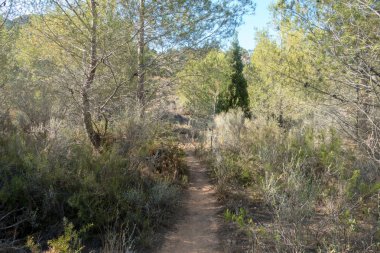 Castellon, İspanya avuç çöllerin yollar