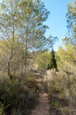 Castellon, İspanya avuç çöllerin yollar