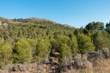 Castellon, İspanya avuç çöllerin yollar
