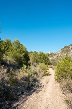 Castellon, İspanya avuç çöllerin yollar