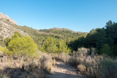 Castellon, İspanya avuç çöllerin yollar