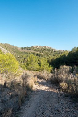 Castellon, İspanya avuç çöllerin yollar