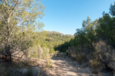 Castellon, İspanya avuç çöllerin yollar