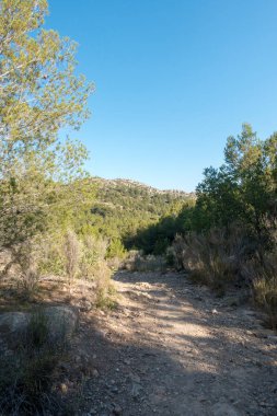 Castellon, İspanya avuç çöllerin yollar