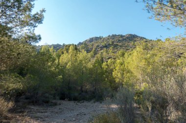 Castellon, İspanya avuç çöllerin yollar