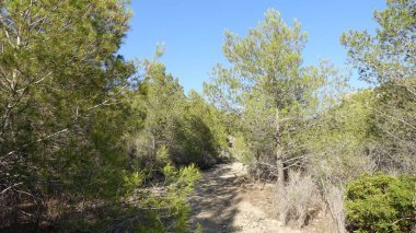 Castellon, İspanya avuç çöllerin yollar