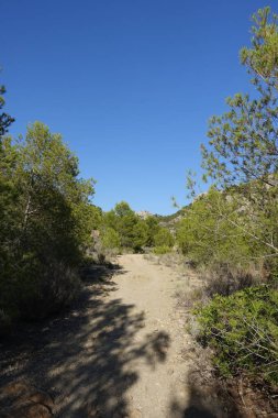 Castellon, İspanya avuç çöllerin yollar