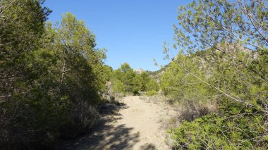Castellon, İspanya avuç çöllerin yollar
