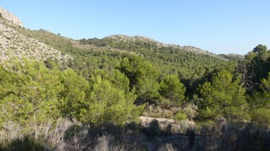 Castellon, İspanya avuç çöllerin yollar