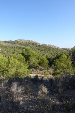 Castellon, İspanya avuç çöllerin yollar