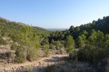 Castellon, İspanya avuç çöllerin yollar