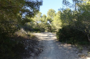 Castellon, İspanya avuç çöllerin yollar