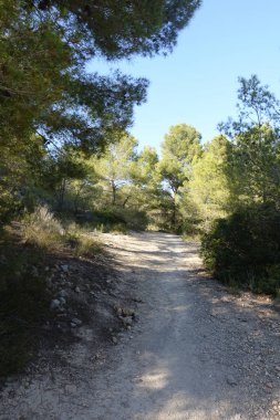 Castellon, İspanya avuç çöllerin yollar