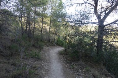 Castellon, İspanya avuç çöllerin yollar