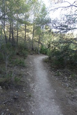 Castellon, İspanya avuç çöllerin yollar