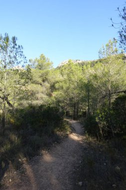 Castellon, İspanya avuç çöllerin yollar
