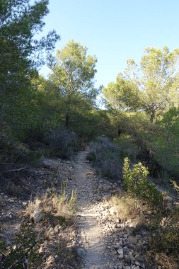 Castellon, İspanya avuç çöllerin yollar