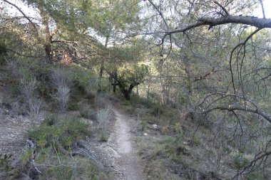 Castellon, İspanya avuç çöllerin yollar