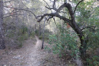 Castellon, İspanya avuç çöllerin yollar