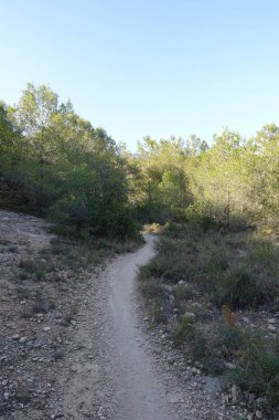 Castellon, İspanya avuç çöllerin yollar