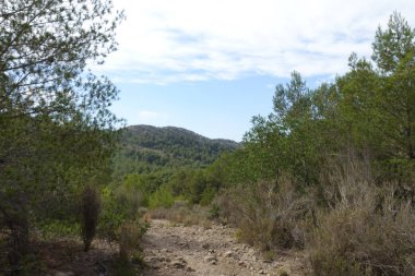 Castellon, İspanya avuç çöllerin yollar