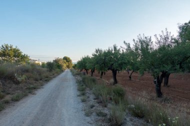 Santiago için yol ve via augusta Castellon, İspanya