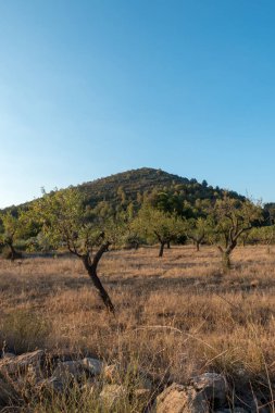 Santiago için yol ve via augusta Castellon, İspanya
