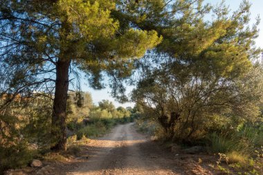 Santiago için yol ve via augusta Castellon, İspanya