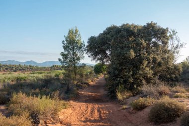 Santiago için yol ve via augusta Castellon, İspanya