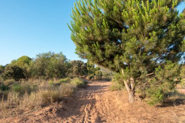 Santiago için yol ve via augusta Castellon, İspanya