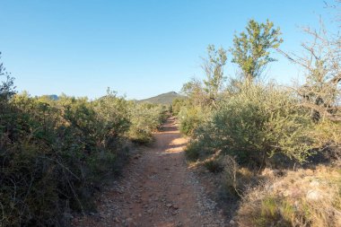 Santiago için yol ve via augusta Castellon, İspanya