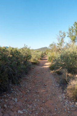 Santiago için yol ve via augusta Castellon, İspanya