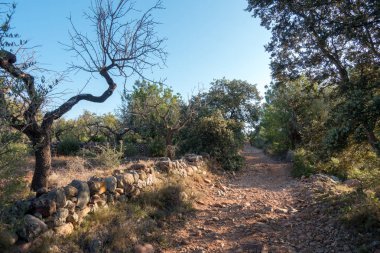 Santiago için yol ve via augusta Castellon, İspanya