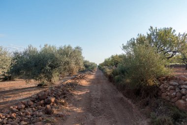 Santiago için yol ve via augusta Castellon, İspanya