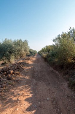 Santiago için yol ve via augusta Castellon, İspanya