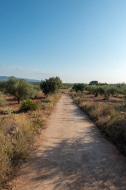 Santiago için yol ve via augusta Castellon, İspanya