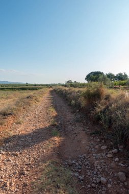 Santiago için yol ve via augusta Castellon, İspanya
