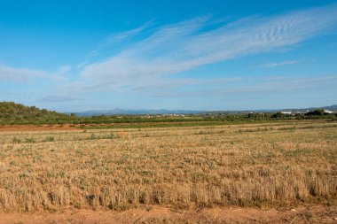 Santiago için yol ve via augusta Castellon, İspanya