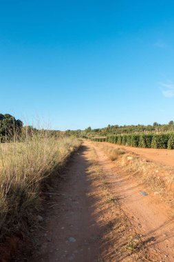 Santiago için yol ve via augusta Castellon, İspanya