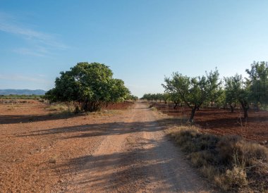 Santiago için yol ve via augusta Castellon, İspanya