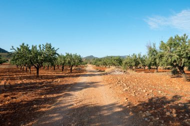 Santiago için yol ve via augusta Castellon, İspanya
