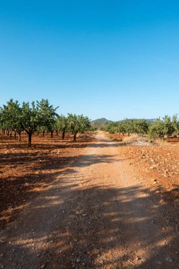 Santiago için yol ve via augusta Castellon, İspanya