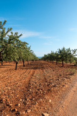 Santiago için yol ve via augusta Castellon, İspanya