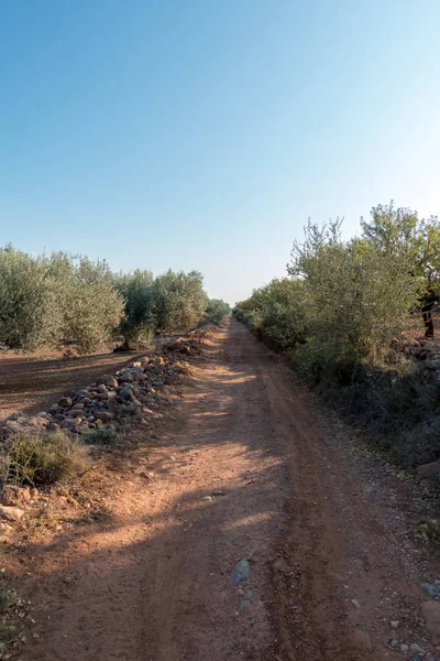 Santiago için yol ve via augusta Castellon, İspanya