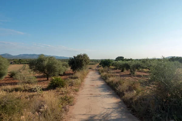 Santiago için yol ve via augusta Castellon, İspanya