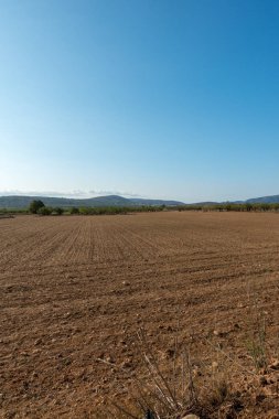 Yol via augusta altında mavi gökyüzü, castellon, İspanya