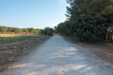 Yol via augusta altında mavi gökyüzü, castellon, İspanya